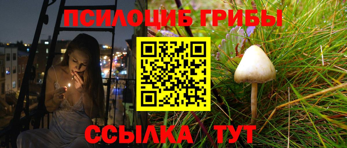 Псилоцибиновые грибы прущие грибы  Вход с VPN  Троицк 