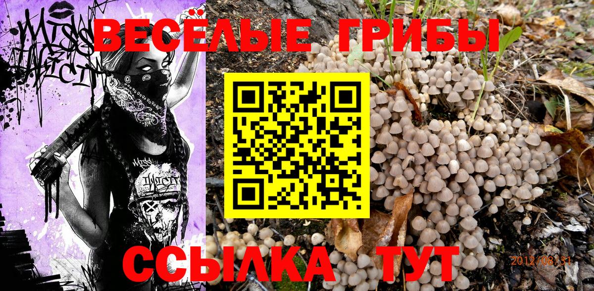 Псилоцибиновые грибы ЛСД Троицк